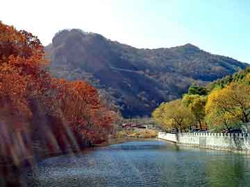 新澳天天开奖资料大全旅游团，小说流氓医生